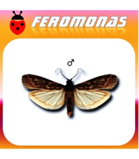 Feromonas para CRYPTOBLABES GNIDIELLA Polilla de la melaza