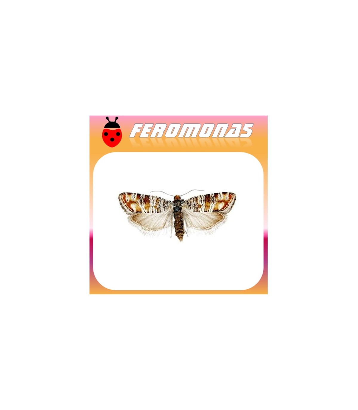 Feromonas para RHYACIONIA DUPLANA Evetria