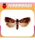 Feromonas para  GRAPHOLITA (LASPEYRESIA) JANTHINANA Piral del espino blanco