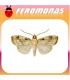 Feromonas para CROCIDOLOMIA BINOTALIS Polilla del racimo de la col