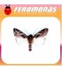 Feromonas para spodoptera exempta gusano africano