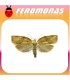 Feromonas para PANDEMIS RIBEANA Polilla tortrix