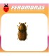 Feromonas para SCOLYTUS MULTRISTRIATUS Barrenillo del olmo
