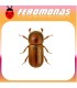 Feromonas para TRYPODENDRON LINEATUM  Escarabajo rayado