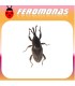Feromonas para COSMOPOLITES SORDIDUS Picudo del banano