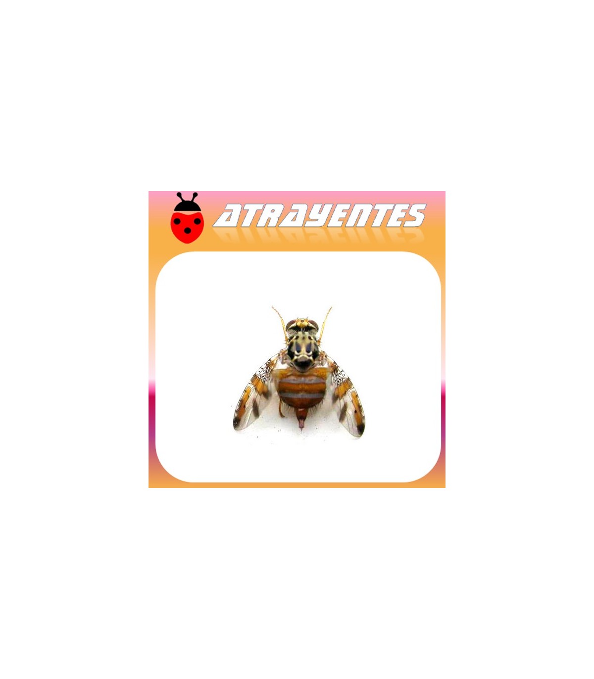 CERATITIS CAPITATA Atrayente LD (90 días)
