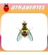 Atrayente para DACUS (BACTROCERA) DORSALIS Mosca oriental