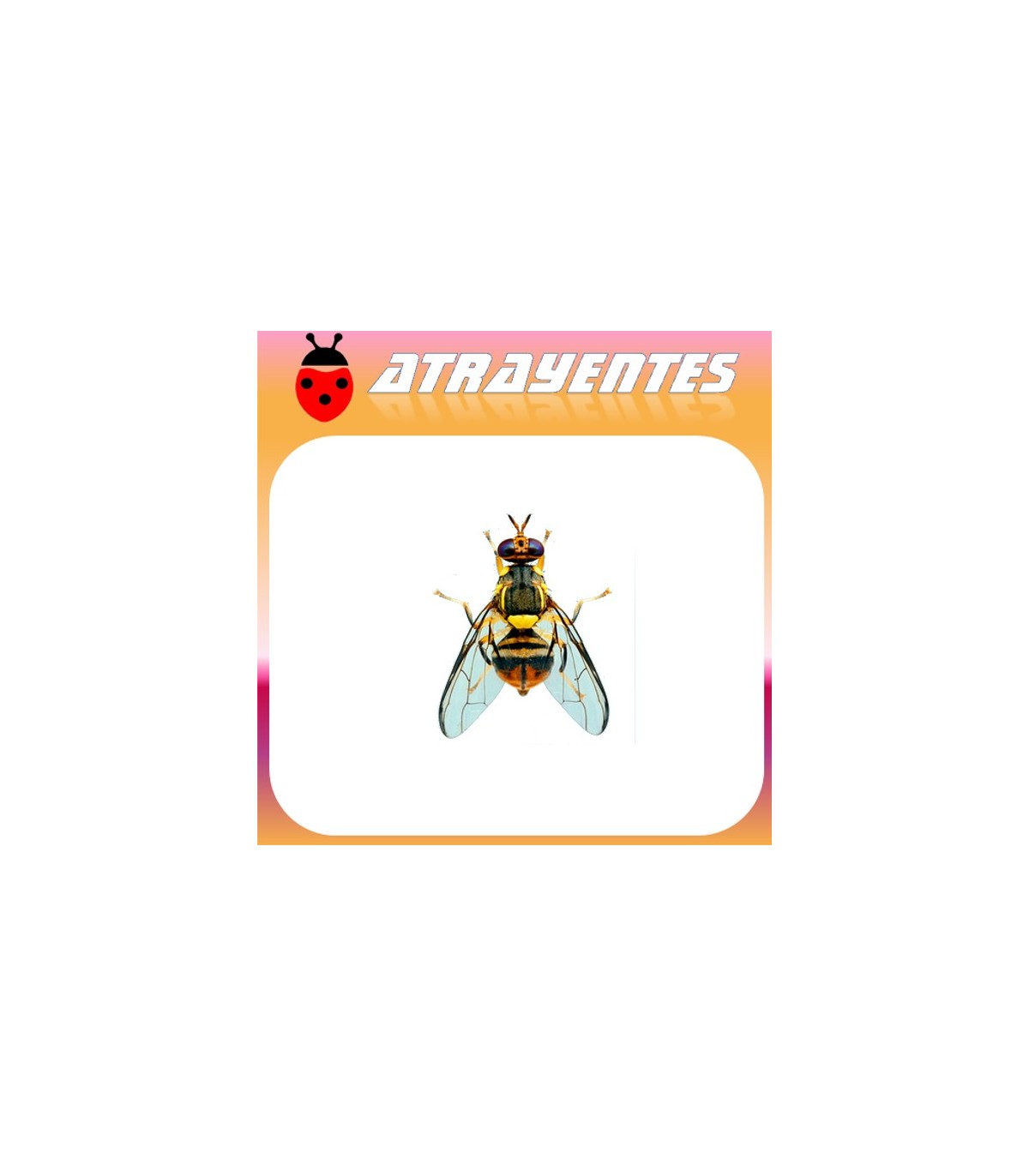 Atrayente para DACUS (BACTROCERA) DORSALIS Mosca oriental