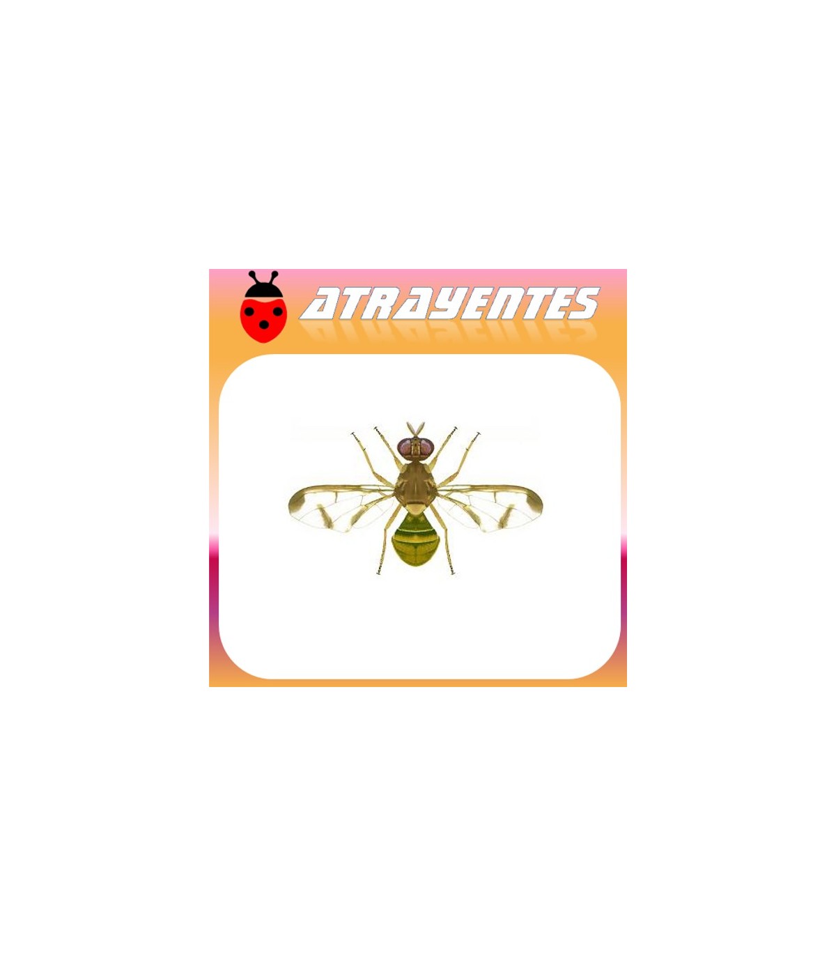 Atrayente para DACUS (BACTROCERA) CUCURBITAE