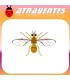 Atrayente para DACUS CILIATUS Mosca etíope de la fruta