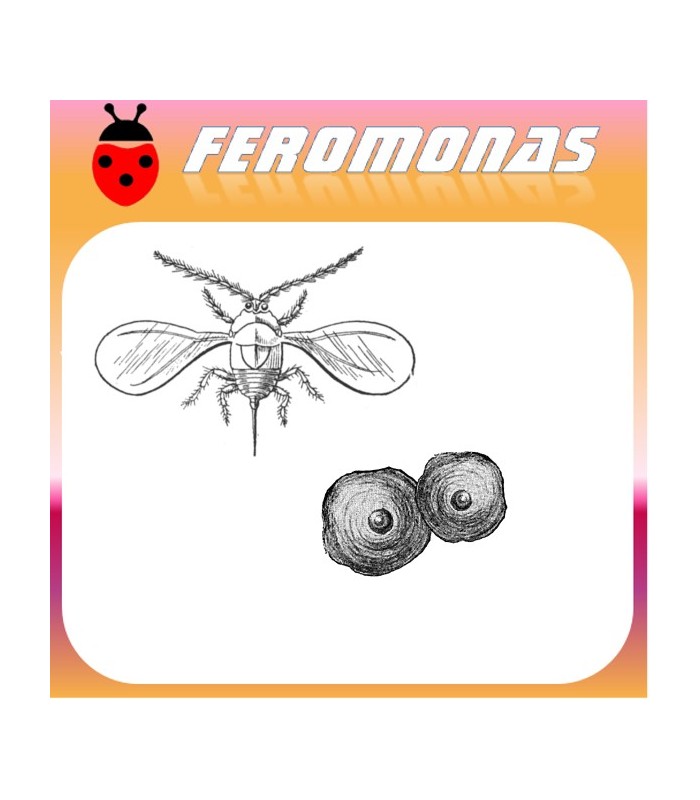 Feromonas para QUADRASPIDIOTUS PERNICIOSUS Piojo de San José
