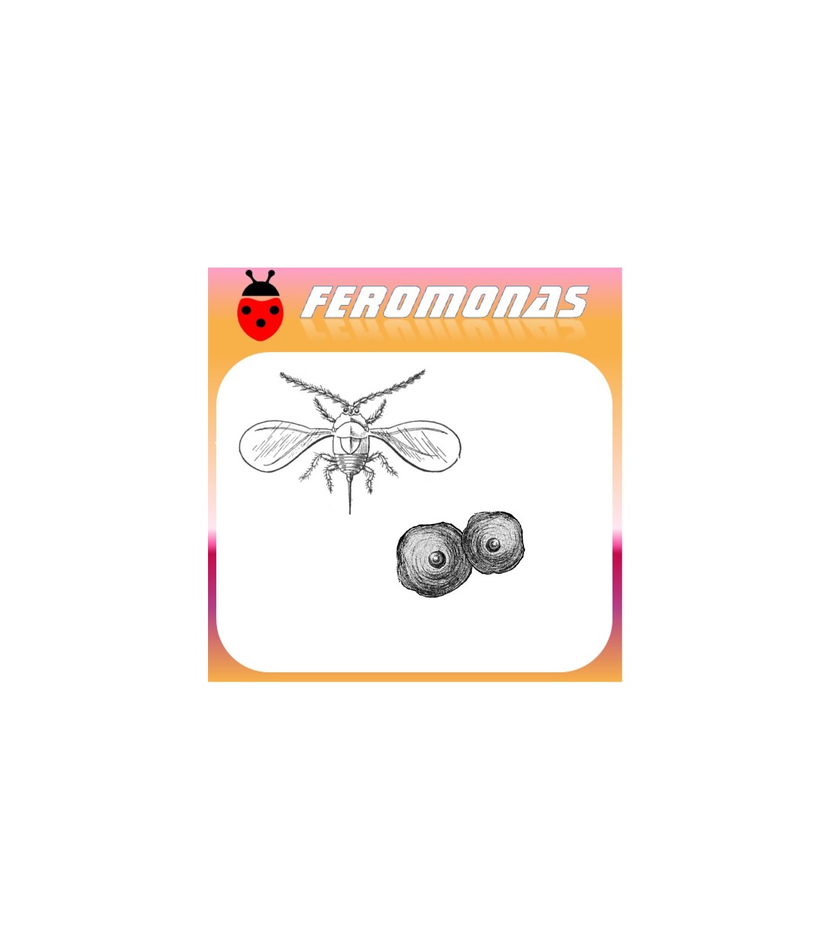 Feromonas para QUADRASPIDIOTUS PERNICIOSUS Piojo de San José