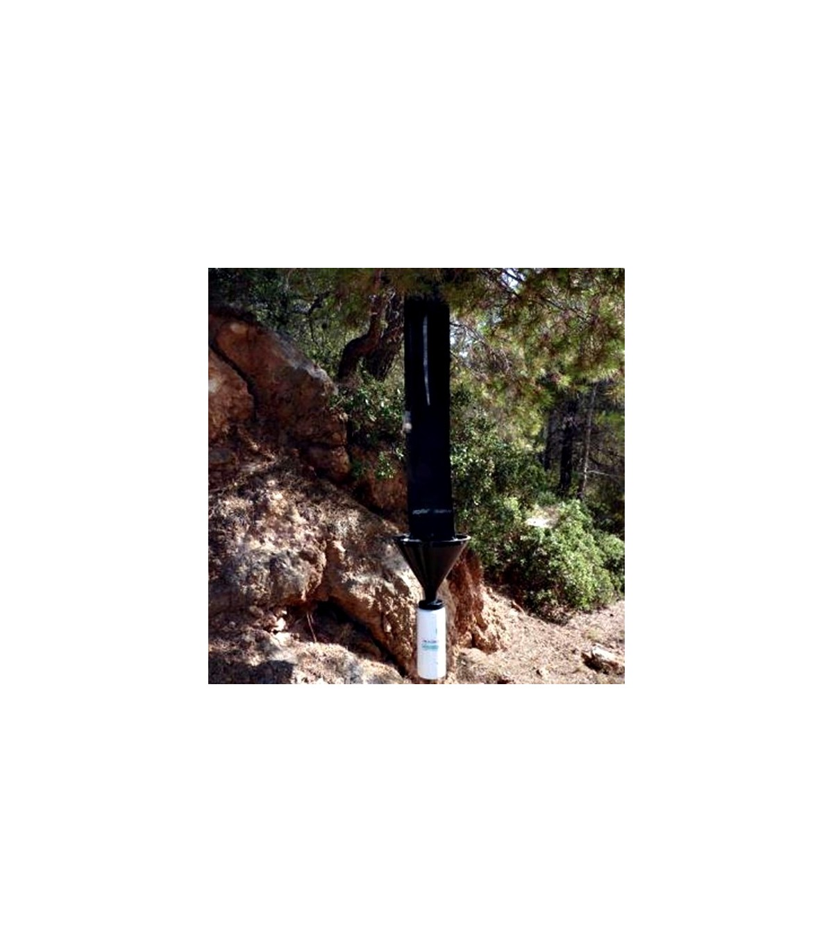 CROSSTRAP trampa forestal