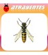 Cebo atrayente de avispas y moscas