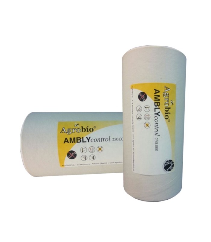 Amblycontrol 250000 amblyseius cucumeris enemigo natural de trips