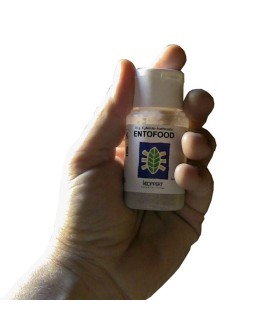 ENTOFOOD 10 gr huevos de Ephestia