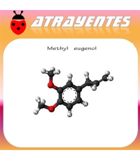 METHYL EUGENOL 90 días atrayente de Bractocera