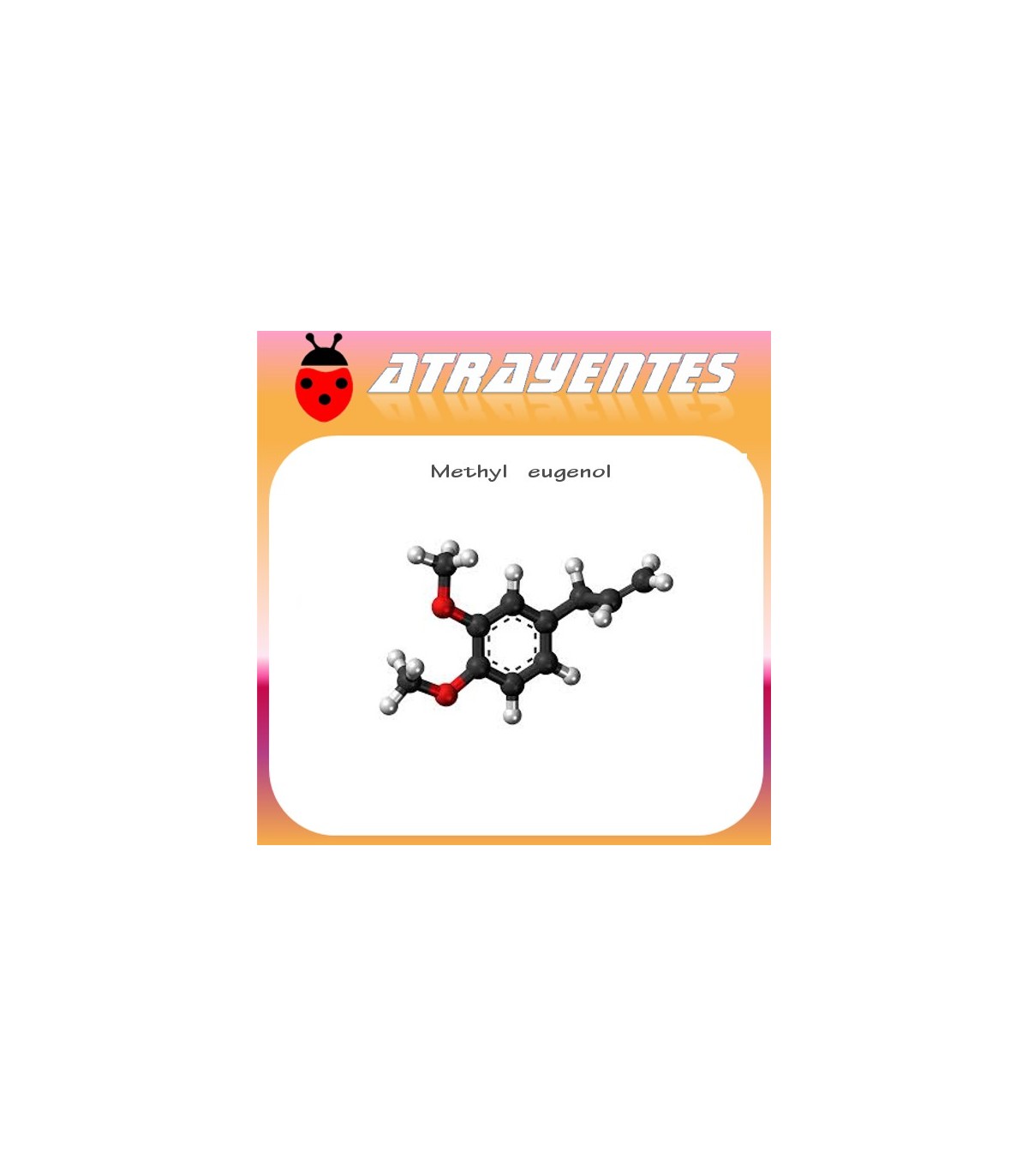 METHYL EUGENOL 90 días atrayente de Bractocera