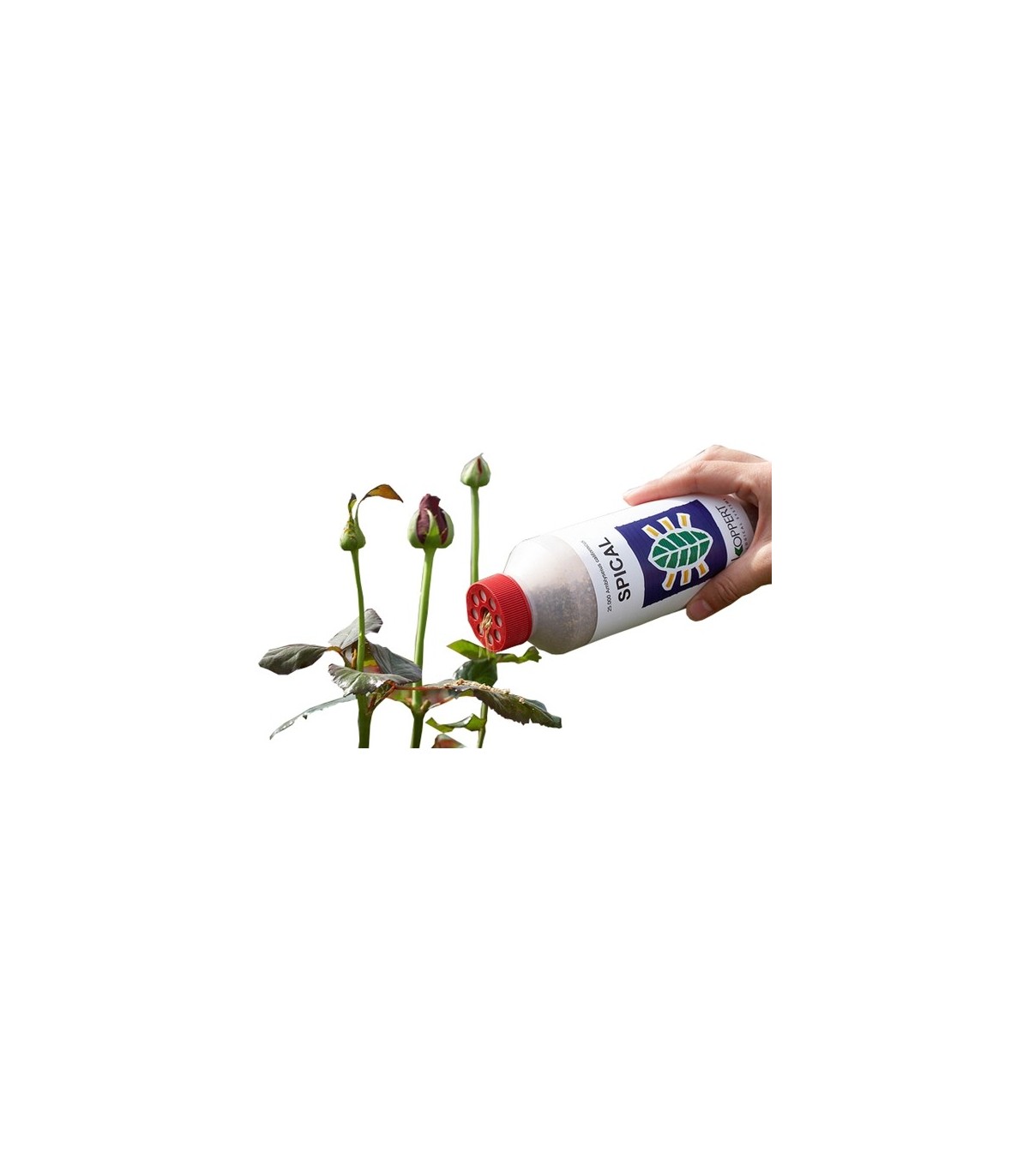 SPICAL 5000