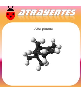 ALFA PINENO