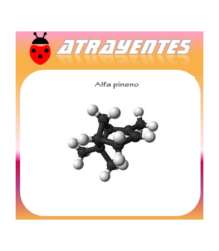 ALFA PINENO