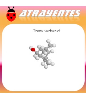 TRANS VERBENOL