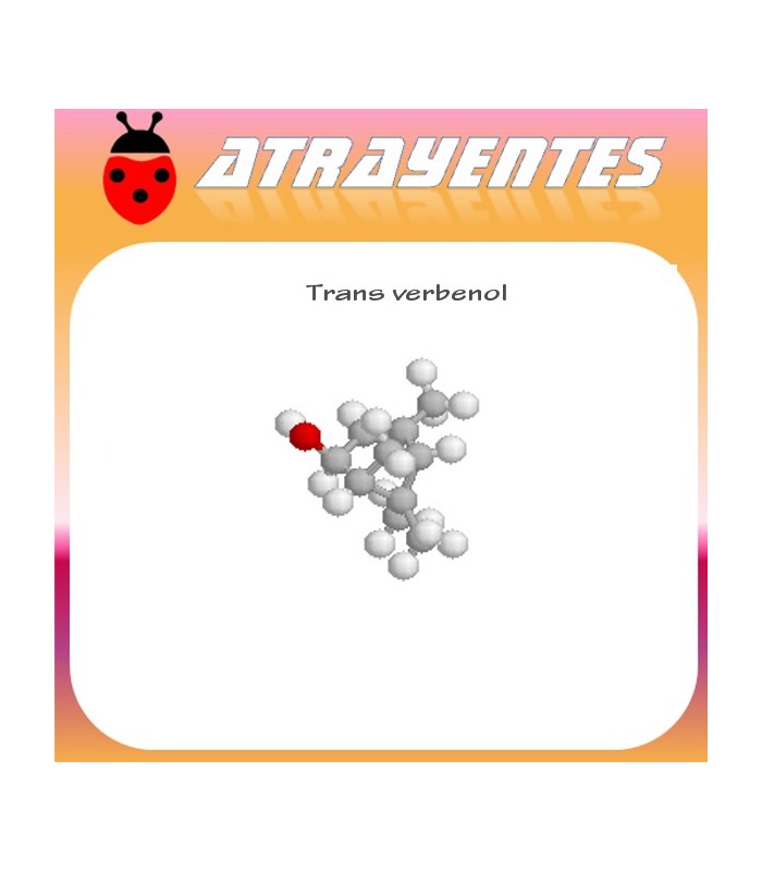 TRANS VERBENOL