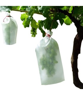 Bolsas para uva tamaño pequeño x 1.000