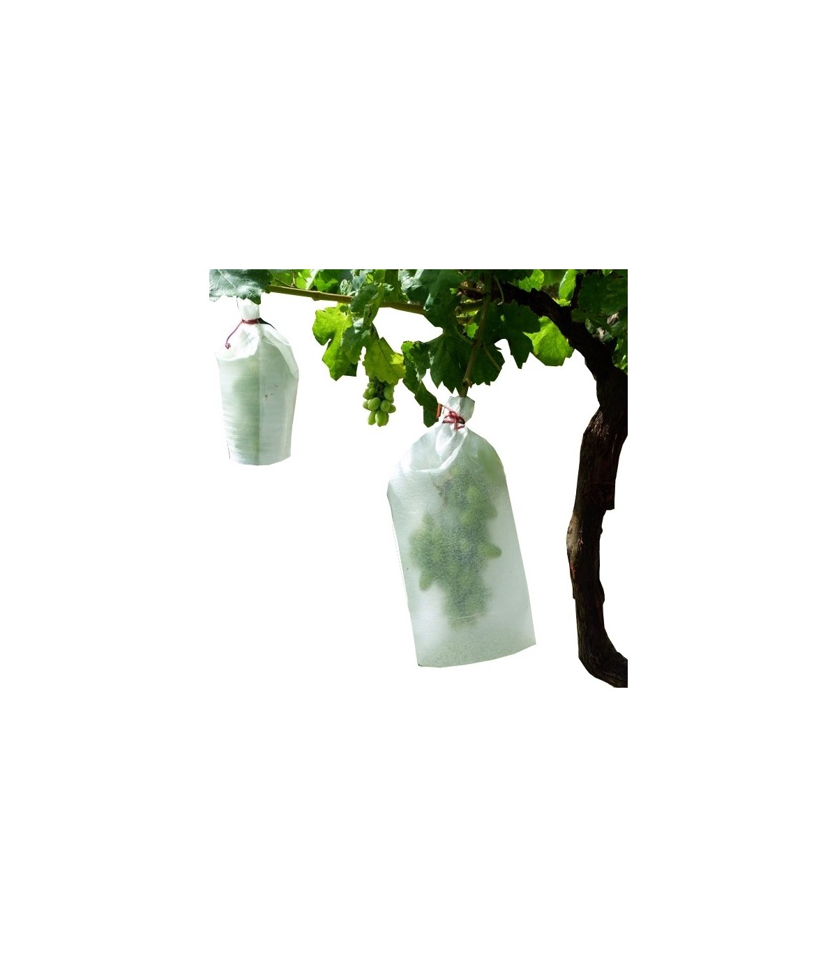 Bolsas para uva tamaño pequeño x 1.000