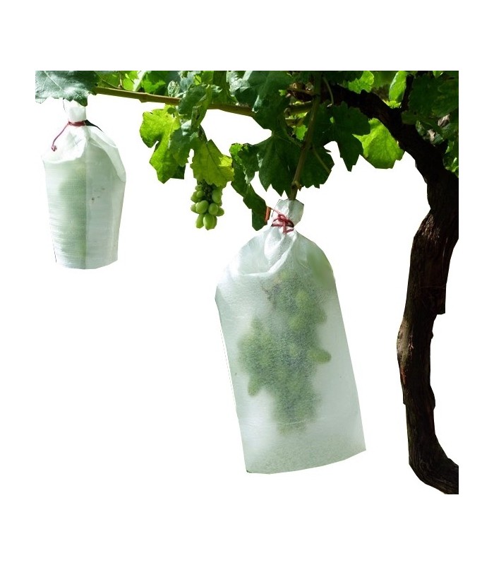 Bolsas para uva tamaño grande x1.000