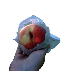 Bolsa de papel para melocotón