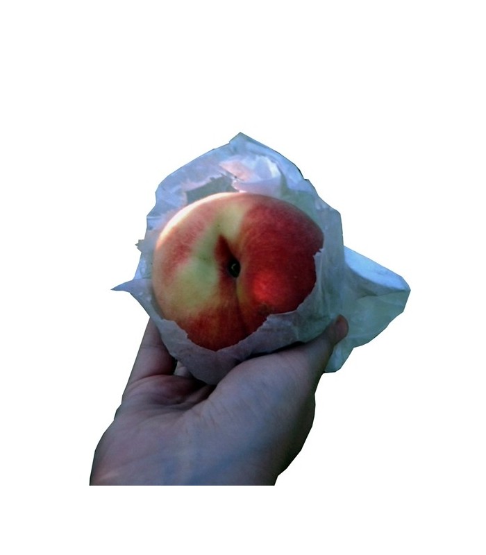 Bolsa de papel para melocotón