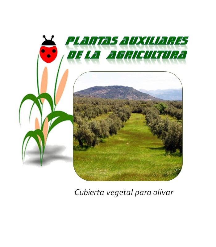 mezcla de semillas para cubierta vegetal en olivar