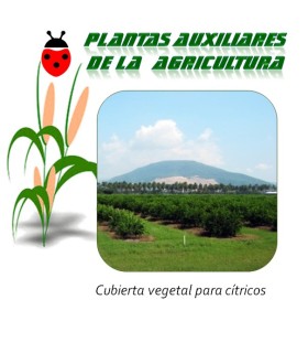 Mezcla de semillas para cubierta vegetal para cítricos