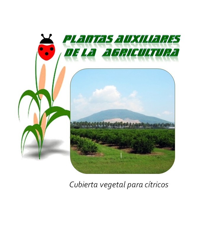 Mezcla de semillas para cubierta vegetal para cítricos