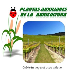 Mezcla de semillas para cubierta vegetal en cultivos de vid y parral