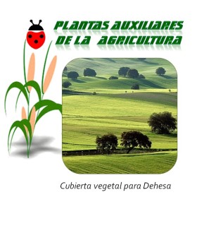 Mezcla de semillas para cubierta vegetal en cultivos de dehesa