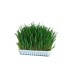 APHIBANK 500 Cereal con pulgon Rhopalosiphon padi