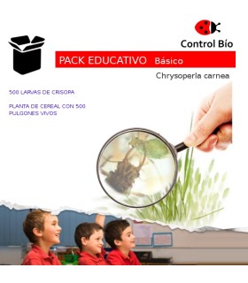 Crisopa PACK EDUCATIVO básico