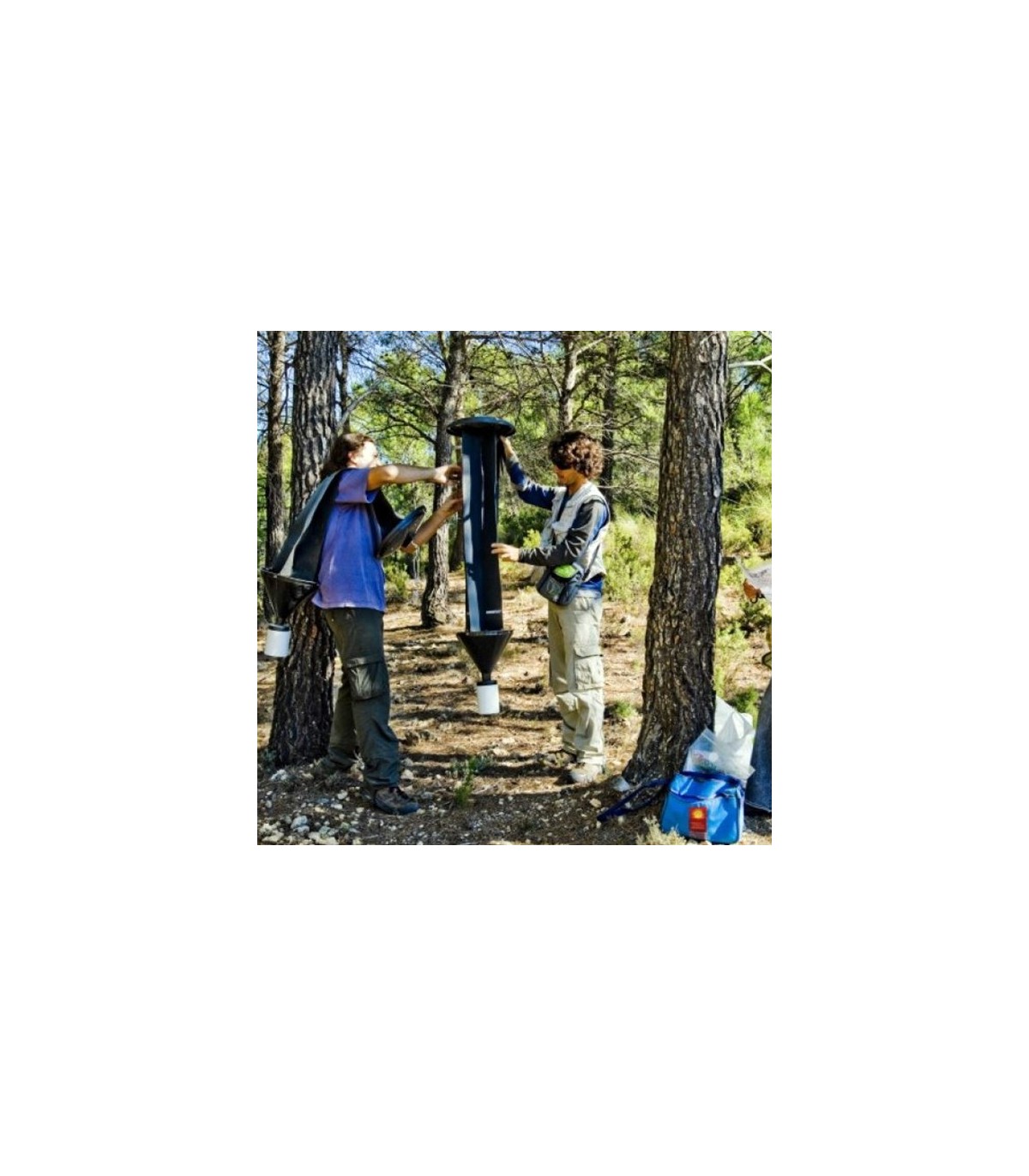 CROSSTRAP trampa forestal