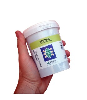 SPIDEND 250 Feltiella acarisuga larvas de mosquito depredador de araña roja