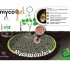 Mycogel micorrizas Rhizophagus irregularis