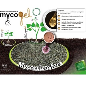 Mycogel micorrizas Rhizophagus irregularis