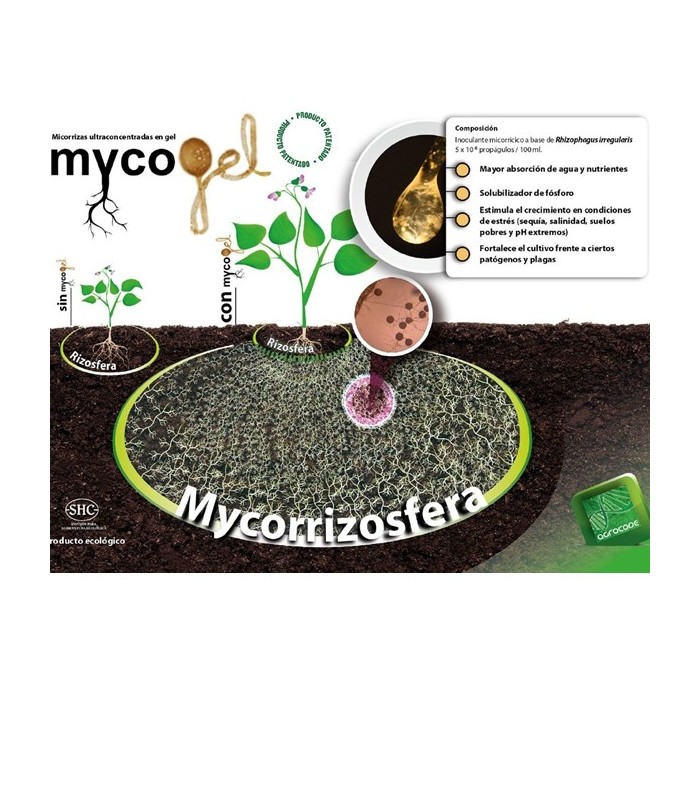 Mycogel micorrizas Rhizophagus irregularis
