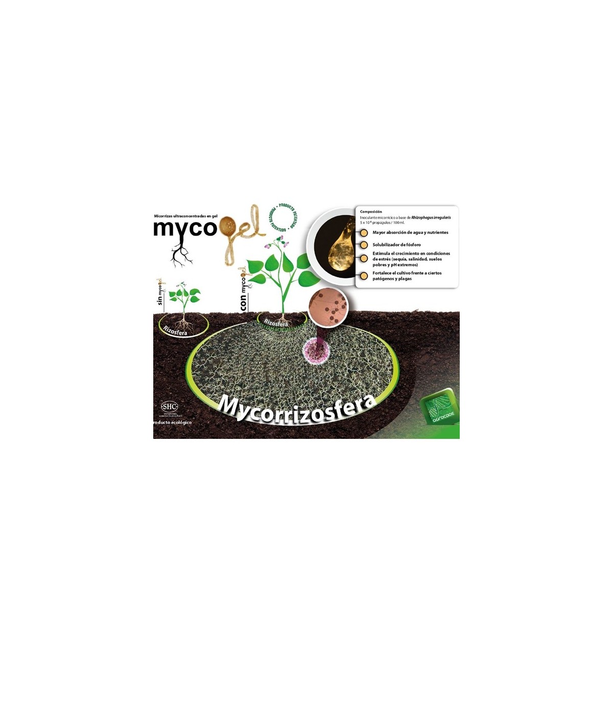 Mycogel micorrizas Rhizophagus irregularis