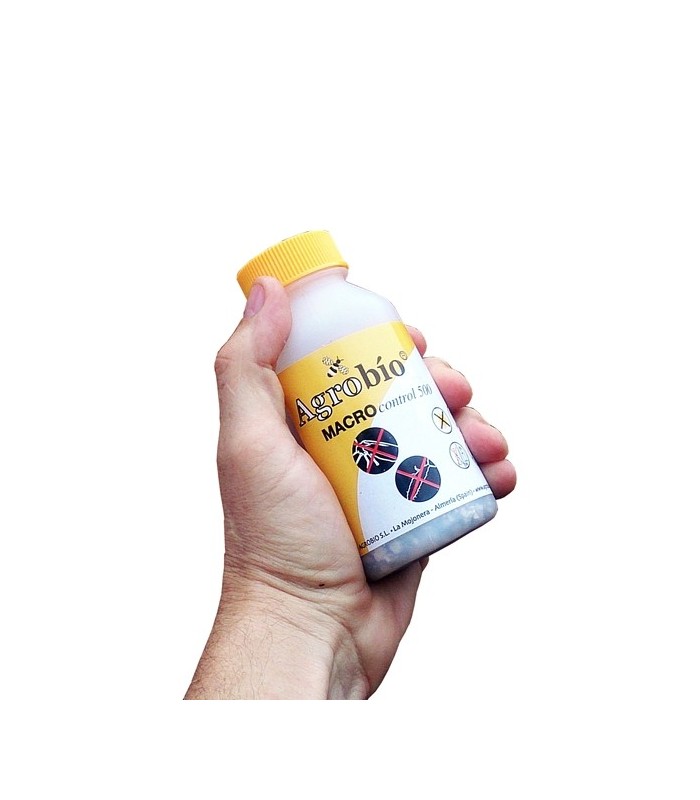 MACROCONTROL 500 Macrolophus caliginosus chinche depredador