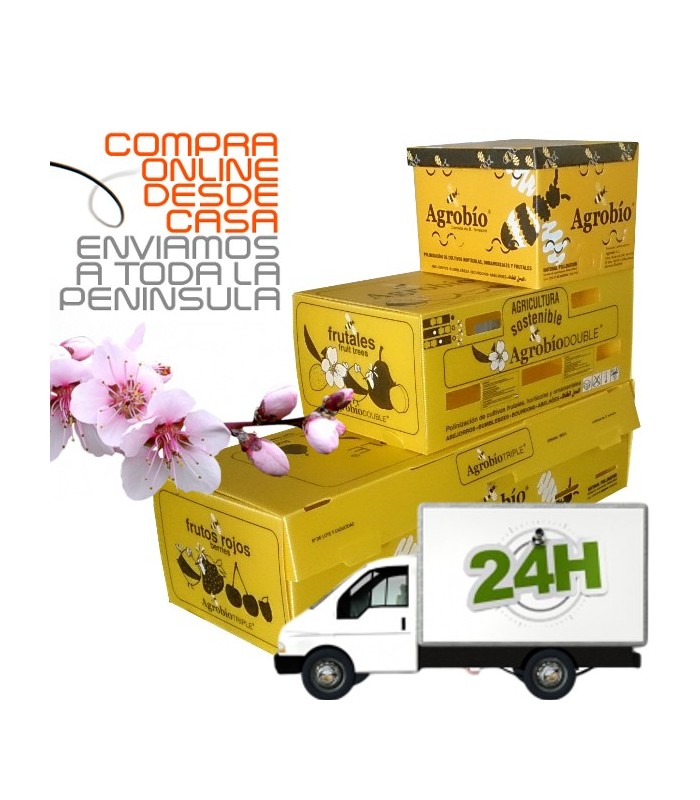 Colmena AGROBIO 1 nucleo para polinización de frutales