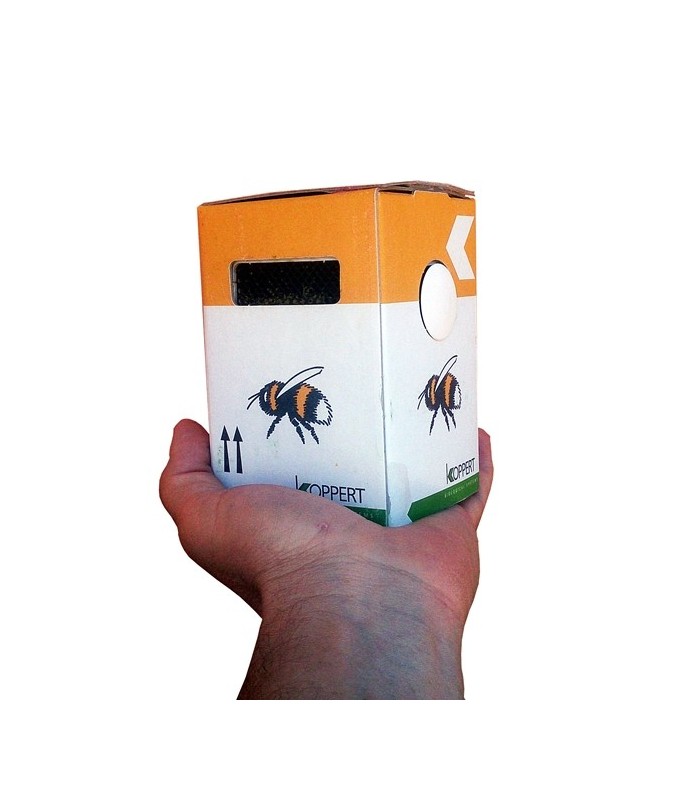 Natupol seeds koppert