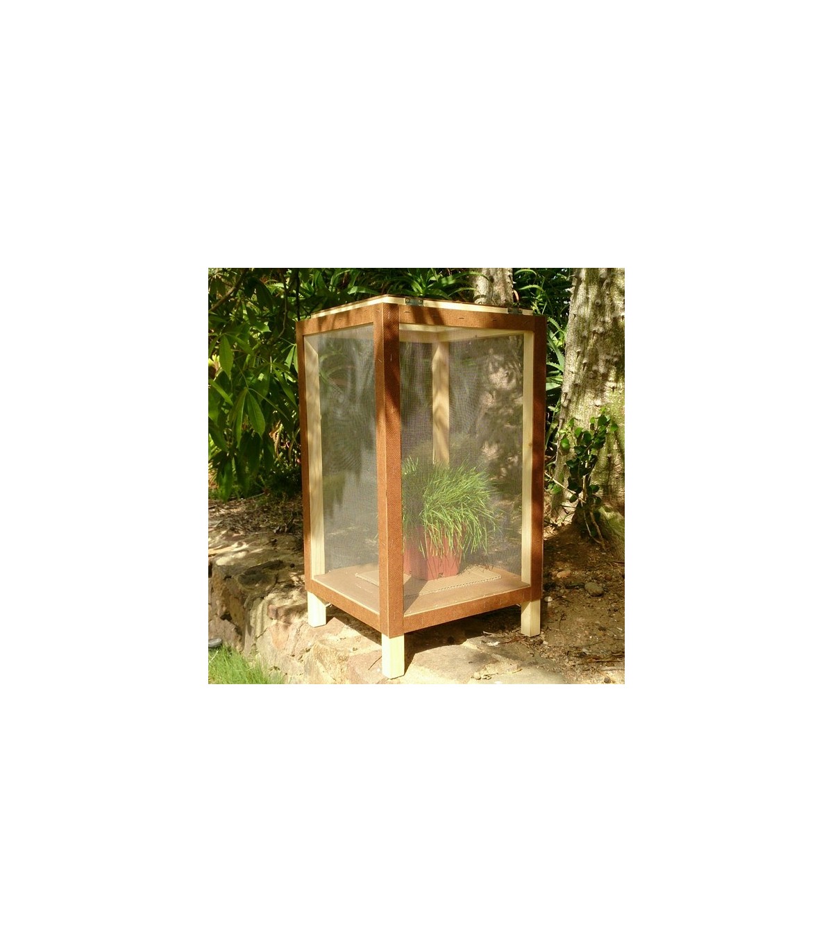 insectario profesional para investigación