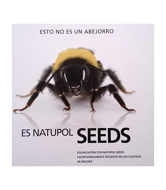 Natupol seeds koppert